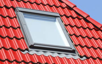roof windows Sector, Devon